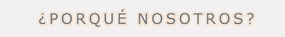 ¿Porque Nosotros?